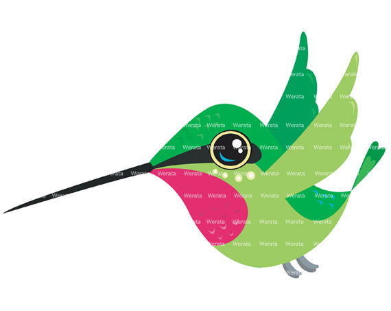 570x453 Cute Clipart Hummingbird
