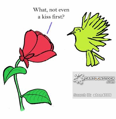 400x409 Hummingbird Cartoons And Comics