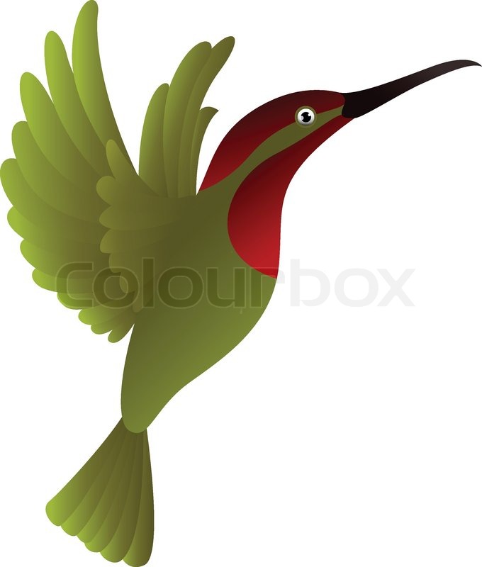 680x800 Hummingbird Cartoon Stock Vector Colourbox
