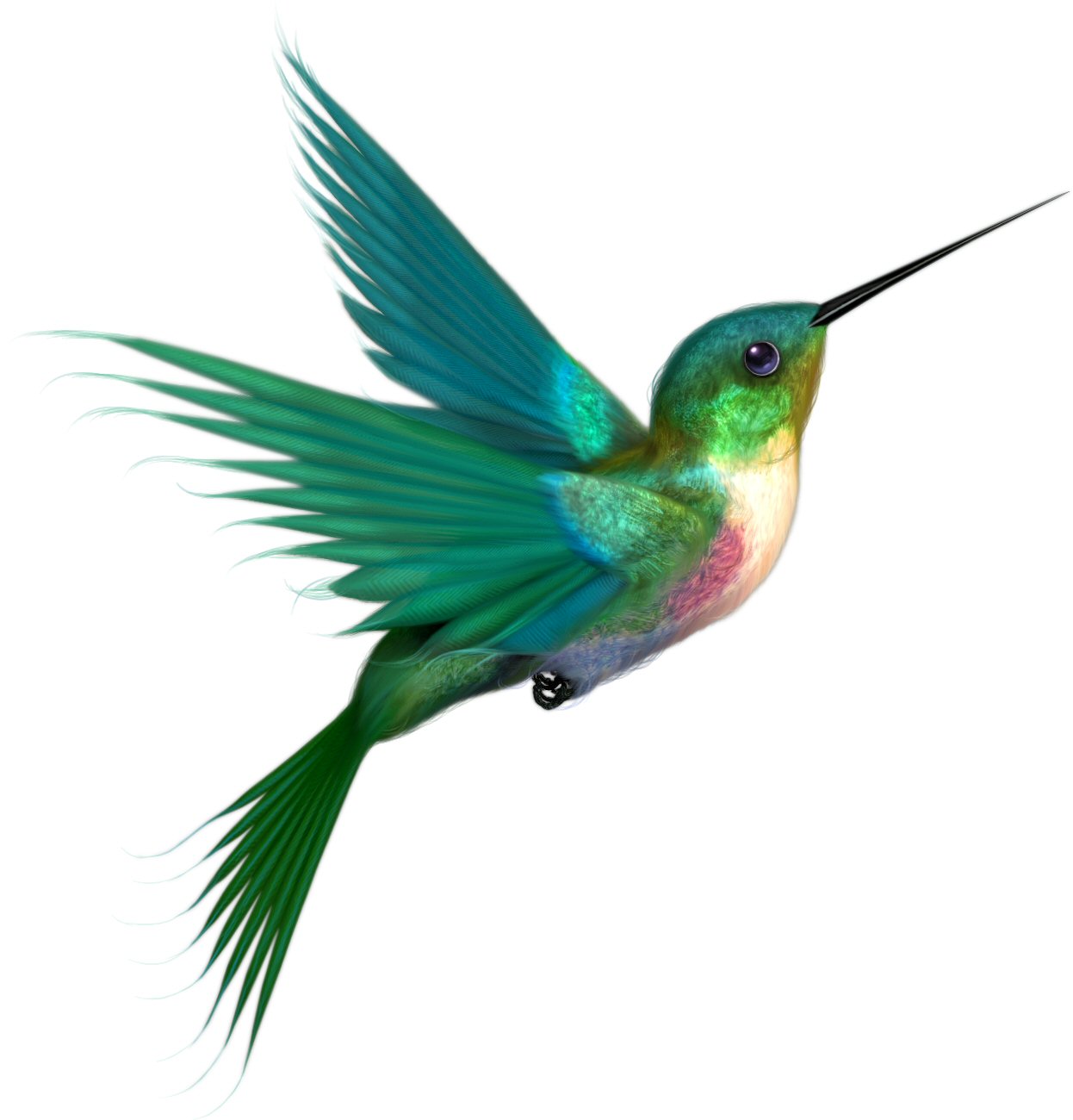 1246x1300 Hummingbird Cartoon Clipart