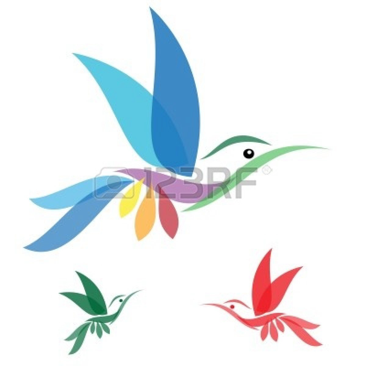 1200x1200 Muscle Cartoon Hummingbird Clipart