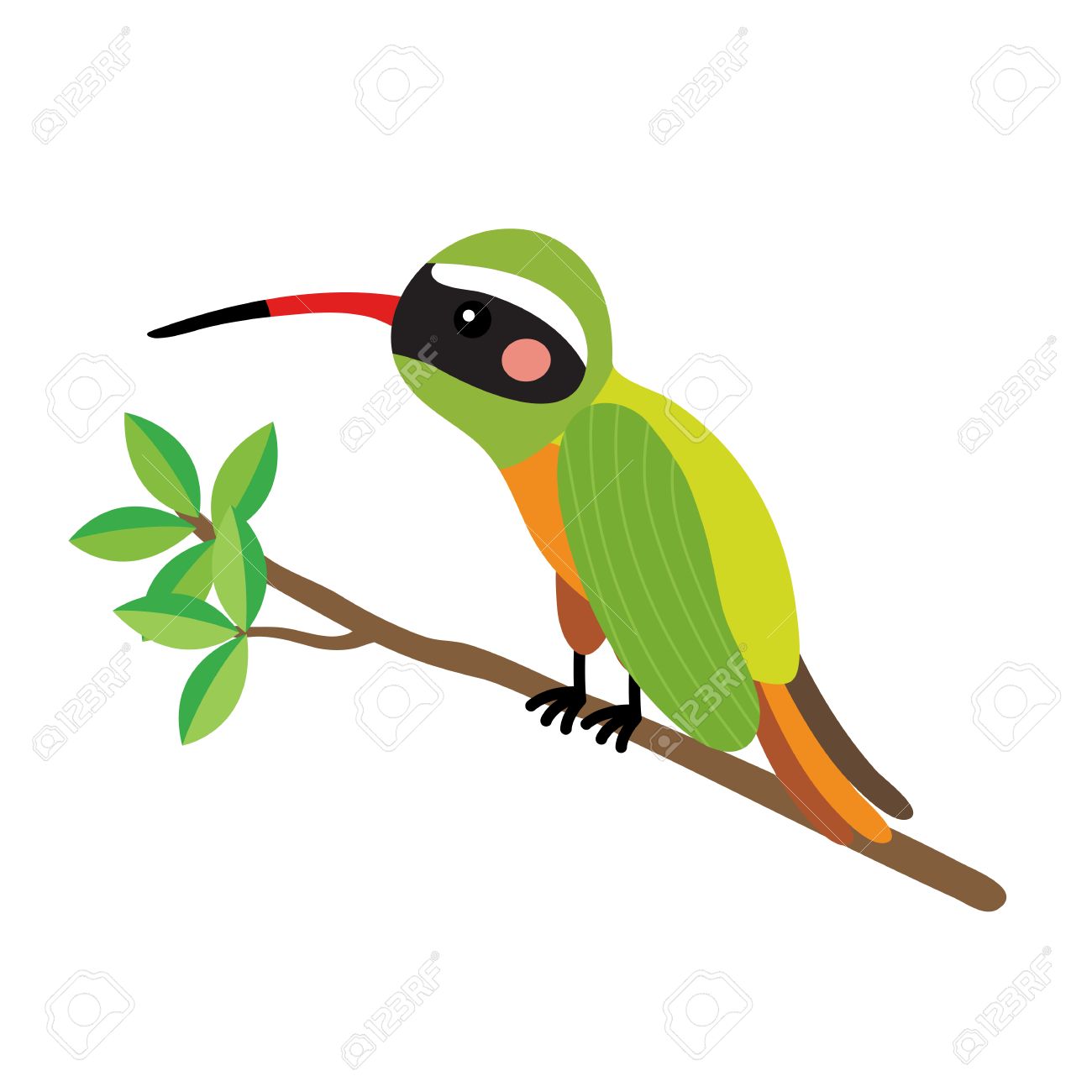 1300x1300 Xantus Hummingbird Perching Branch Animal Cartoon Character