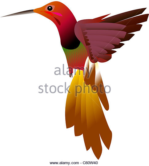 484x540 Cartoon Bird Images Stock Photos Amp Cartoon Bird Images Stock