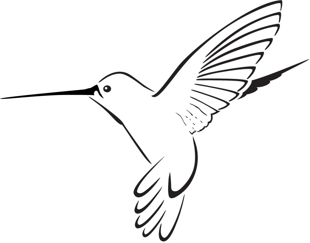 1023x803 Cartoon Hummingbird Clipart