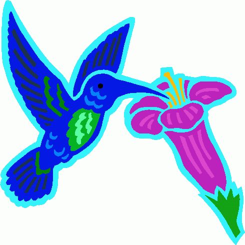 490x490 39 Best Hummingbird Clipart Images Pictures, Art