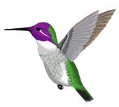 170x152 Free Hummingbird Clipart