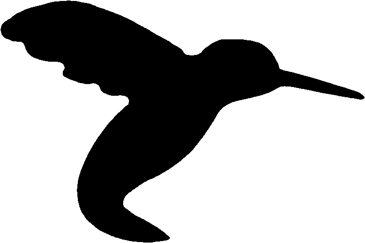750x500 Clip Art Black And White Hummingbird Clipart