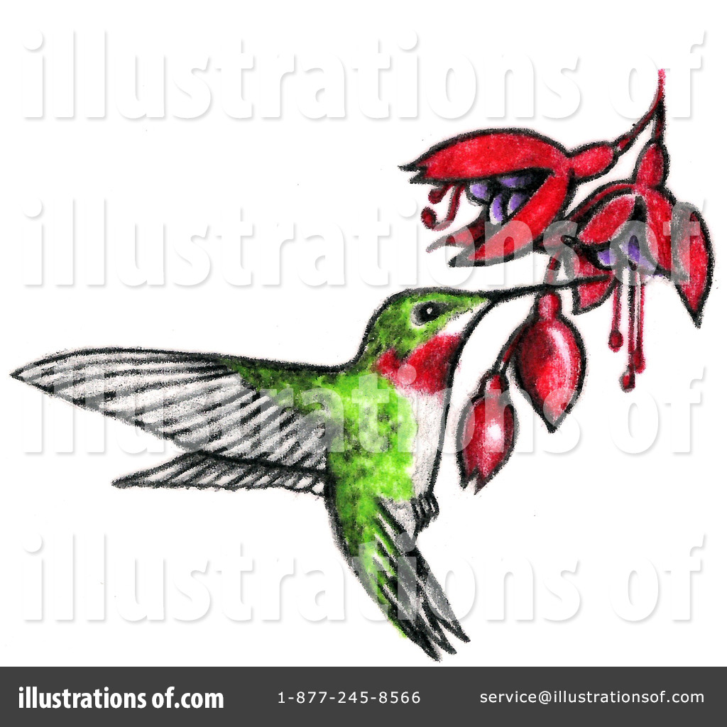 1024x1024 Hummingbird Clipart
