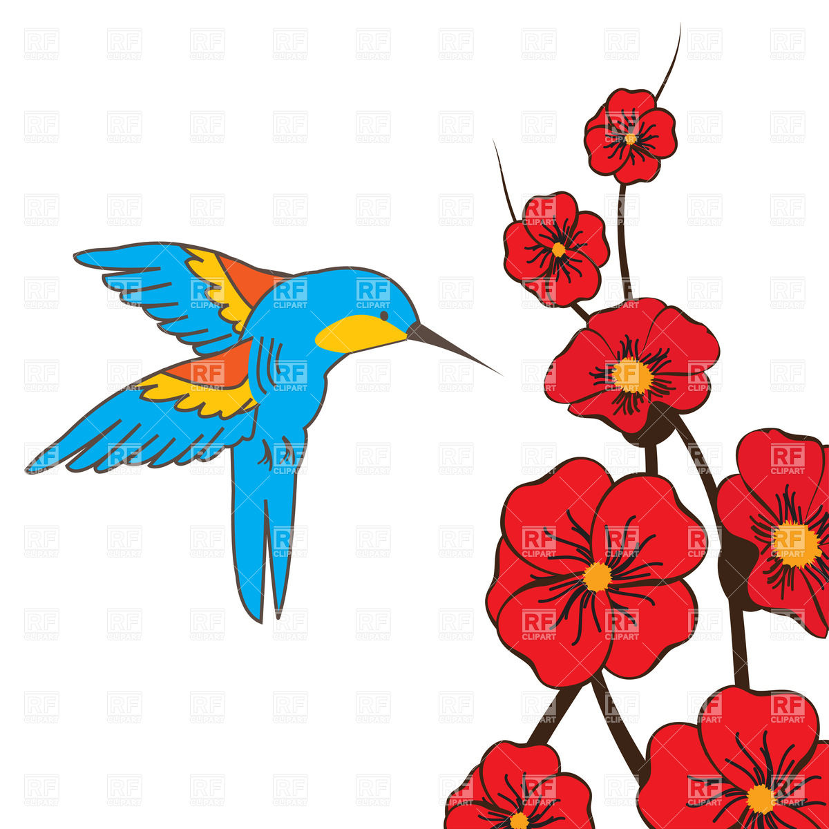 1200x1200 Hummingbird And Red Flowers Royalty Free Vector Clip Art Image