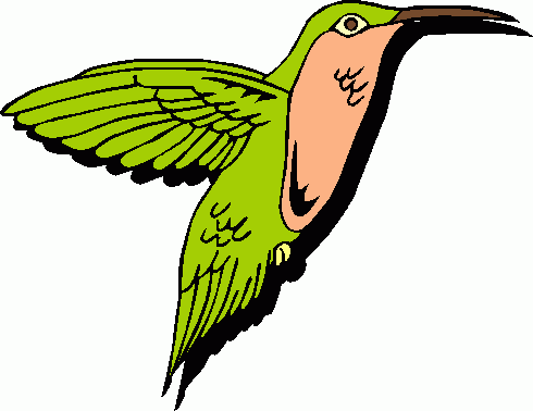 490x378 Hummingbird Clipart Free Clipart 4