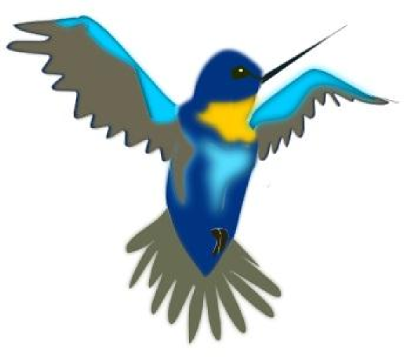 600x520 Hummingbird Clipart Realistic
