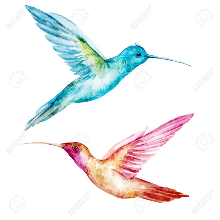 736x736 91 Best Projects Images Architecture, Garden