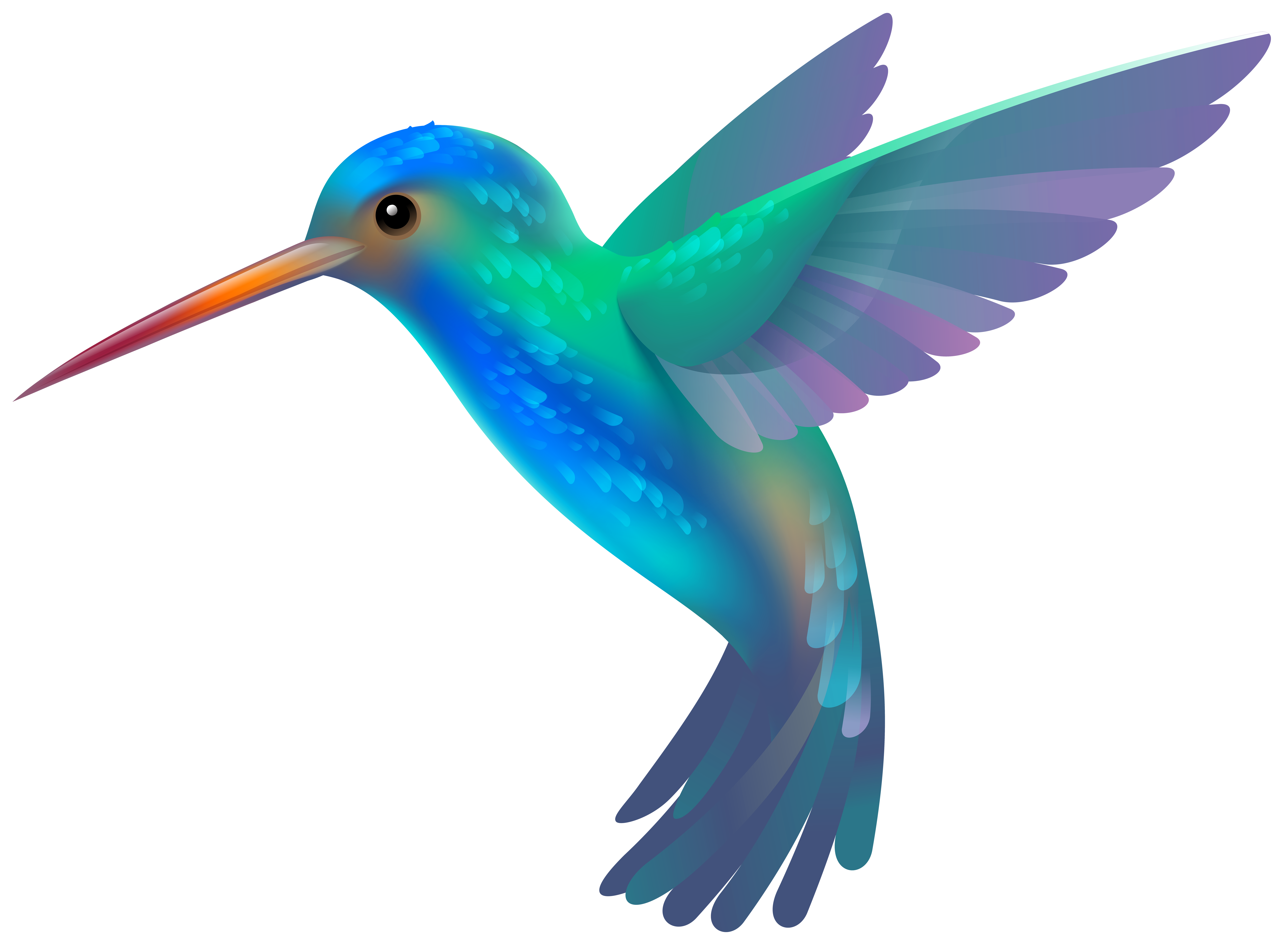 8000x5867 Colorful Clipart Hummingbird