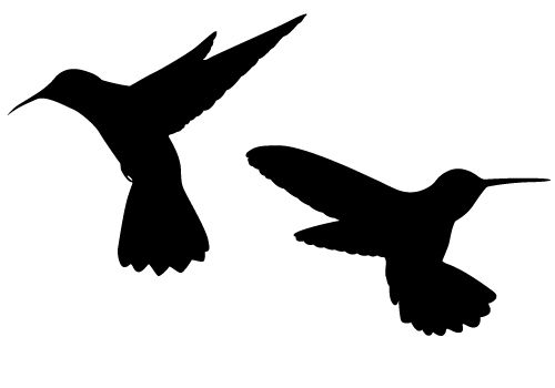 500x350 Sweet Hummingbird Silhouette Vector Free Download Silhouette Clip