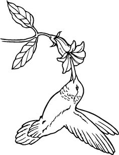 236x307 Hummingbird Coloring Pages