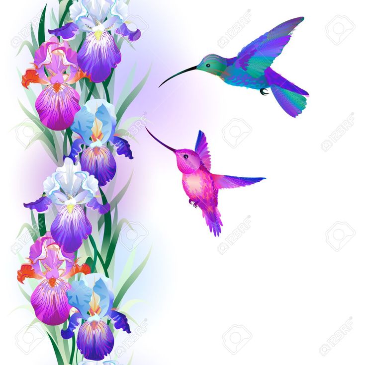 736x735 91 Best Projects Images Architecture, Garden