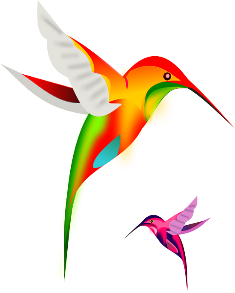 482x600 Hummingbird Clip Art Download