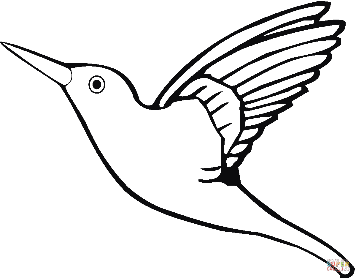1200x936 Flying Hummingbird Coloring Page Free Printable Coloring Pages