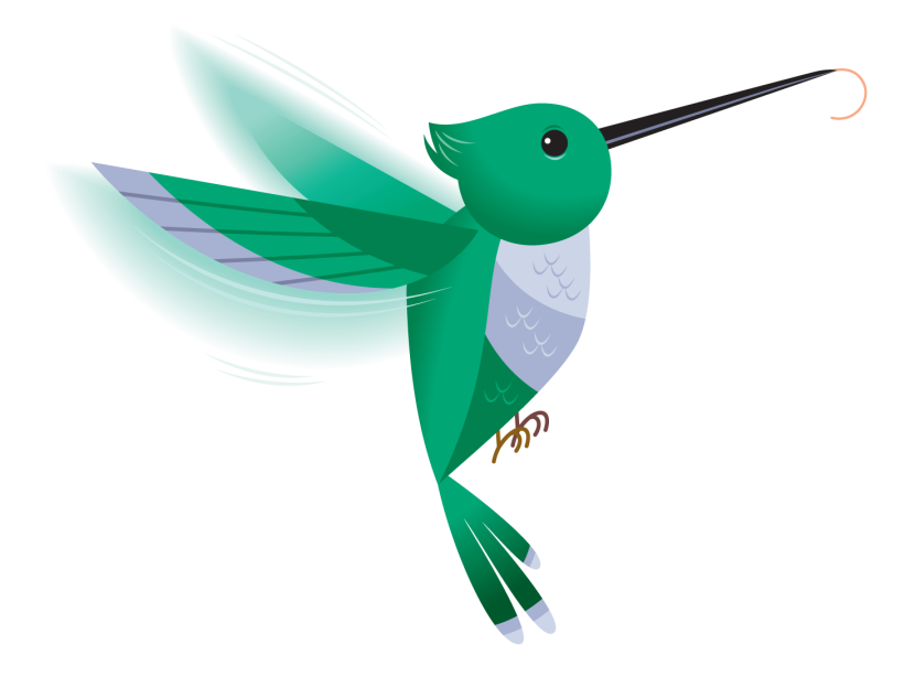 830x614 Hummingbird Clipart Line Art