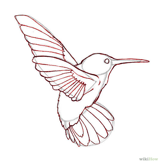 540x549 Hummingbird Clipart Realistic