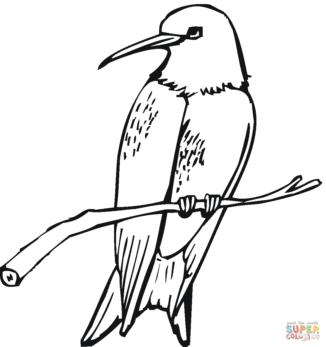 1129x1200 Ruby Throated Hummingbird Coloring Page Free Printable Coloring