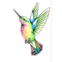 200x200 Hummingbird Png Transparent Hummingbird.png Images. Pluspng