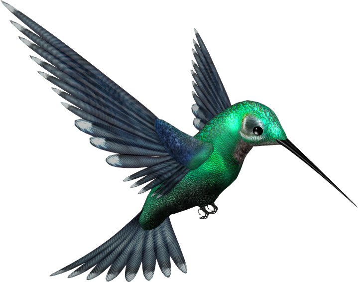 719x566 Hummingbird Png Transparent Images Png All