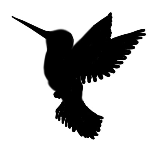 480x471 Hummingbird Silhouette Transparent Png