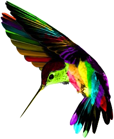 233x283 Hummingbird Large