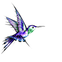 200x200 Download Hummingbird Free Png Photo Images And Clipart Freepngimg
