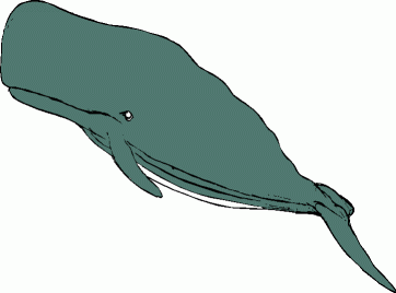 362x268 Humpback Whale Clipart Ble