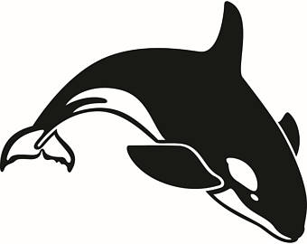 340x270 Killer Whale Clipart Etsy