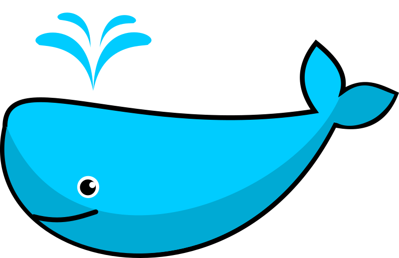 800x517 Whale Clip Art Cartoon Free Clipart Images 4