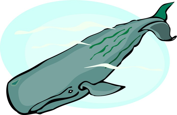 720x467 Whale Clipart And Illustration 2 Whale Clip Art Vector Image 5 4