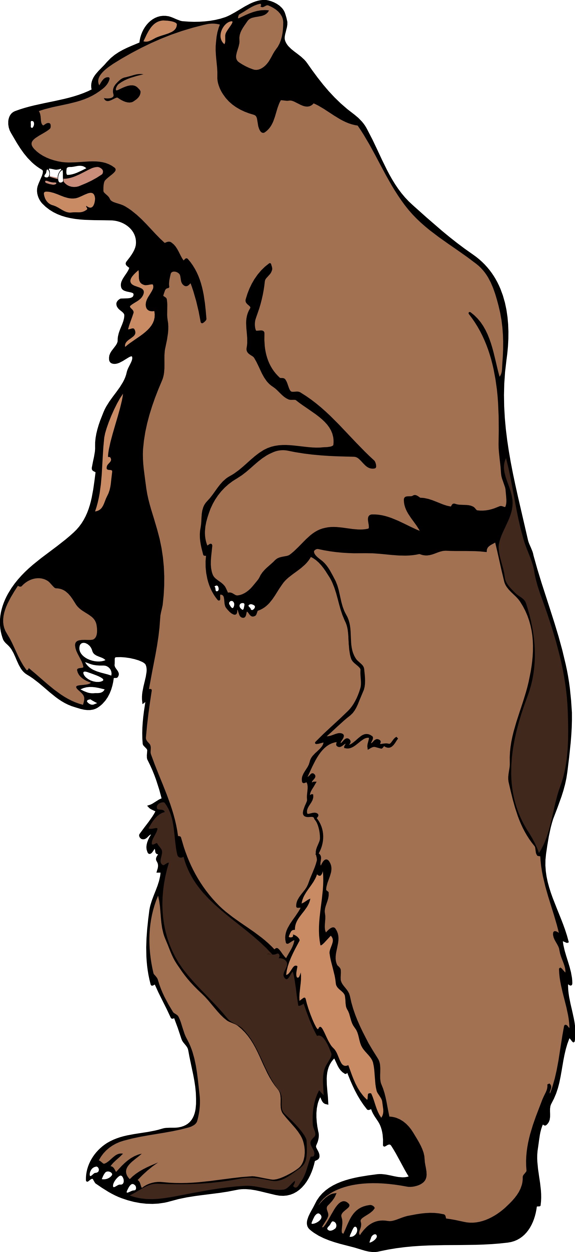 1979x4305 Brown Clipart Bear Hunt