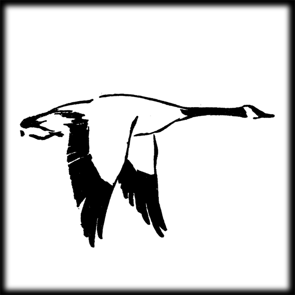 600x600 Duck Hunting Clipart Tumundografico 3