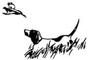 180x124 Quail Hunting Clip Art Cliparts