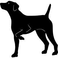 200x200 Shaow Clipart Hunting Dog