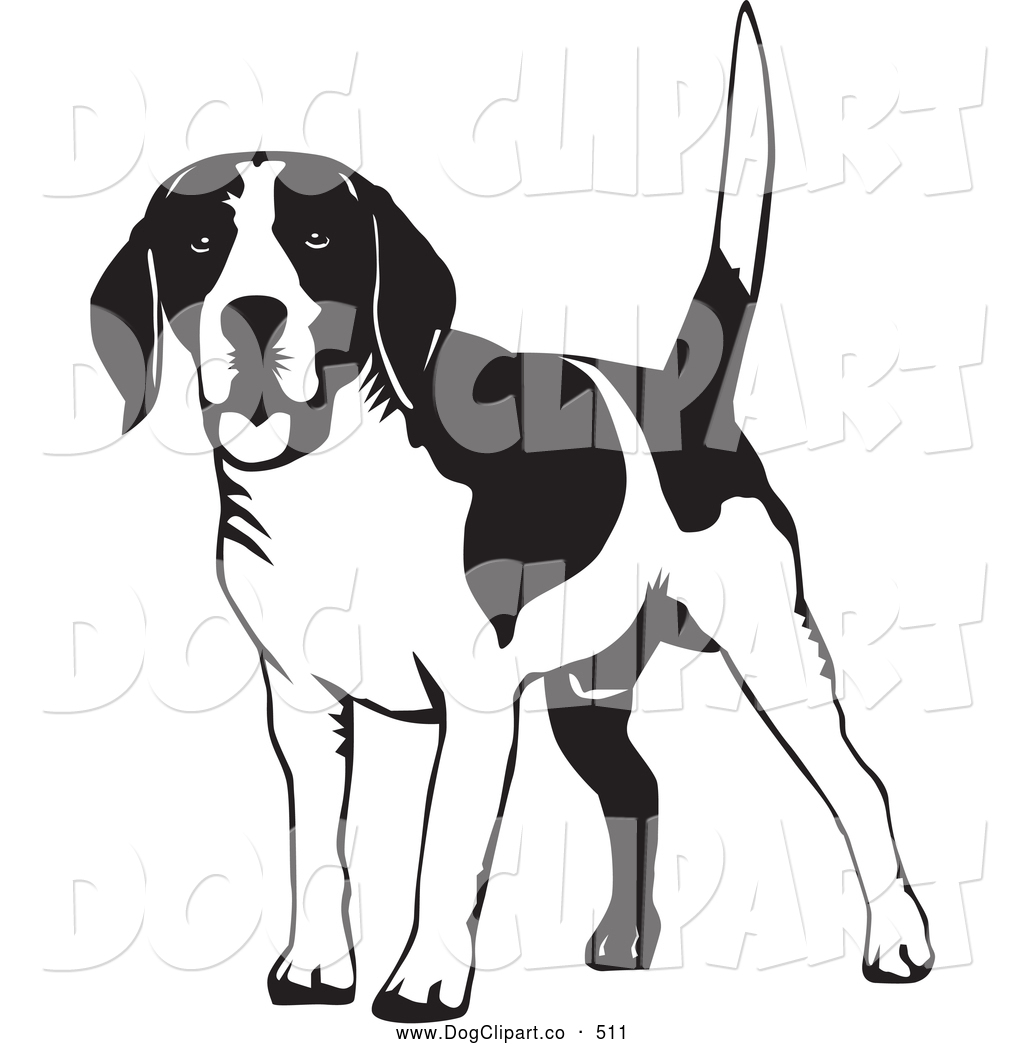 1024x1044 Clip Art Black And White Beagle Clipart