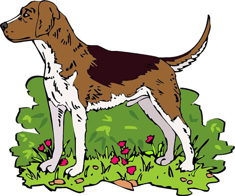 480x400 Clipart Images Of Hunting Dogs