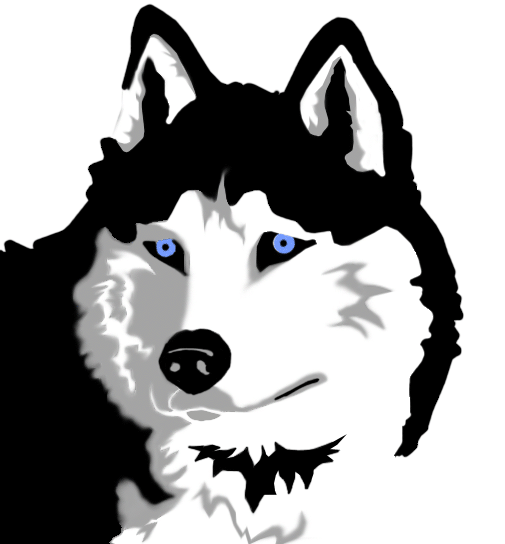 505x544 Free Siberian Husky Clipart