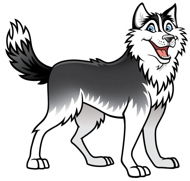 736x702 Husky Dog Clip Art Danasogbe Top Image