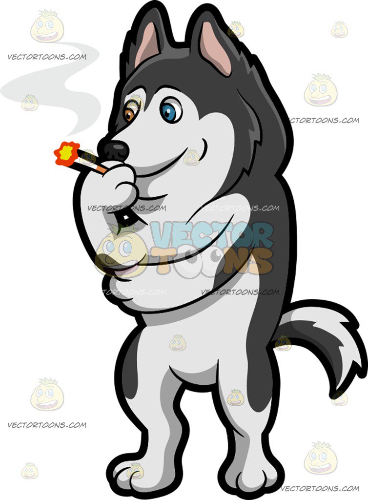754x1024 A Siberian Husky Smoking A Cigarette Cartoon Clipart