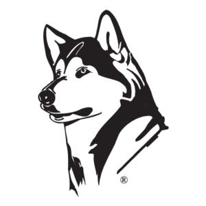 300x300 White Husky Clipart Image