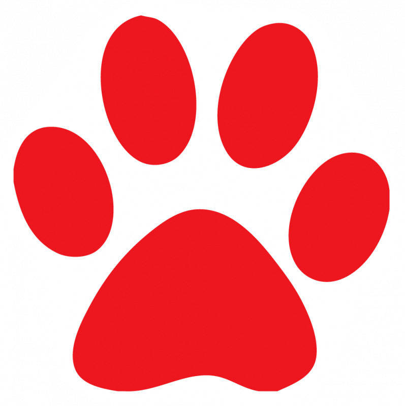 797x800 Image Of Dog Paw Clipart Clipartoons