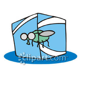 297x300 Fly Frozen In An Ice Cube Royalty Free Clipart Picture