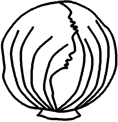 395x408 Lettuce Clipart 4 Image