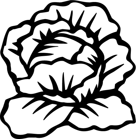 472x480 Similiar Black And White Lettuce Keywords Clip Art