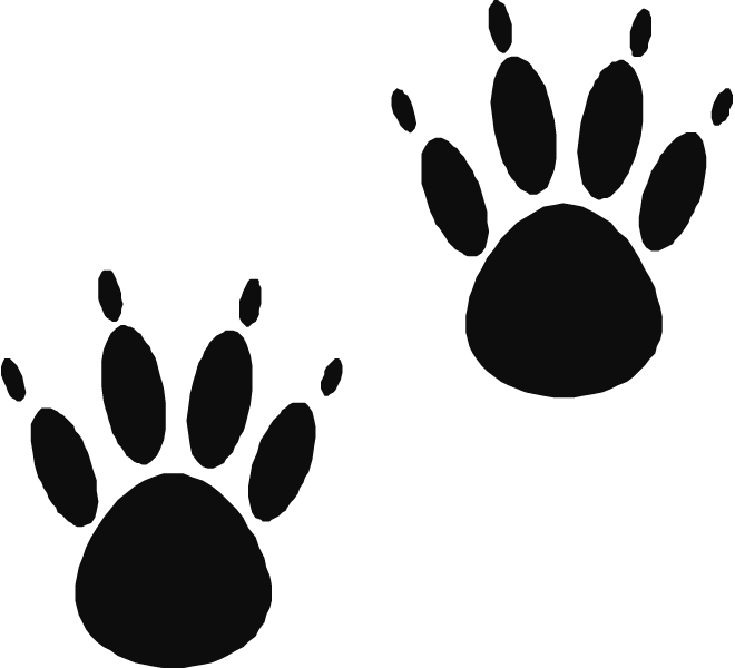 660x600 Image Of Bear Claw Clipart