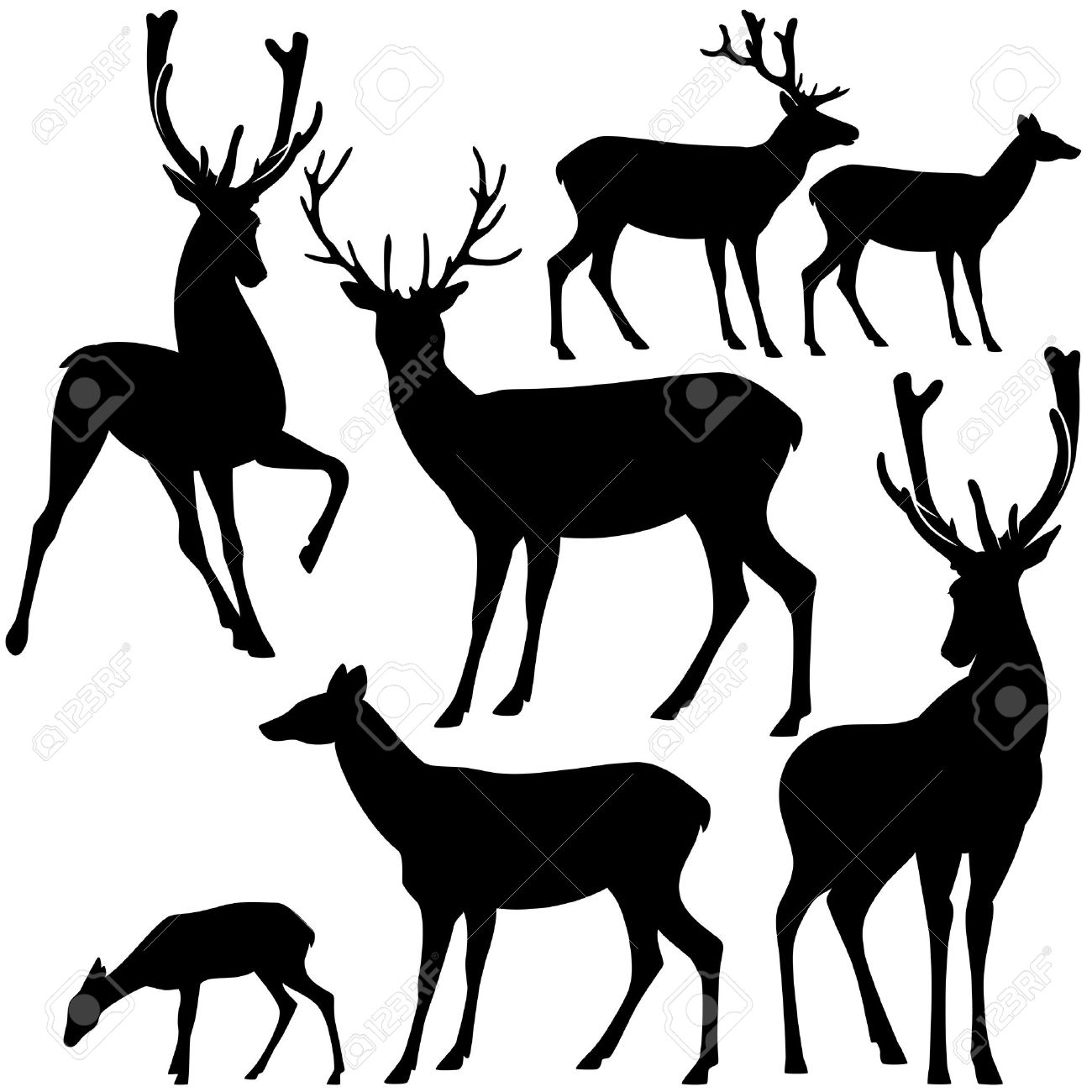 1300x1300 Deer Igloo Clipart, Explore Pictures